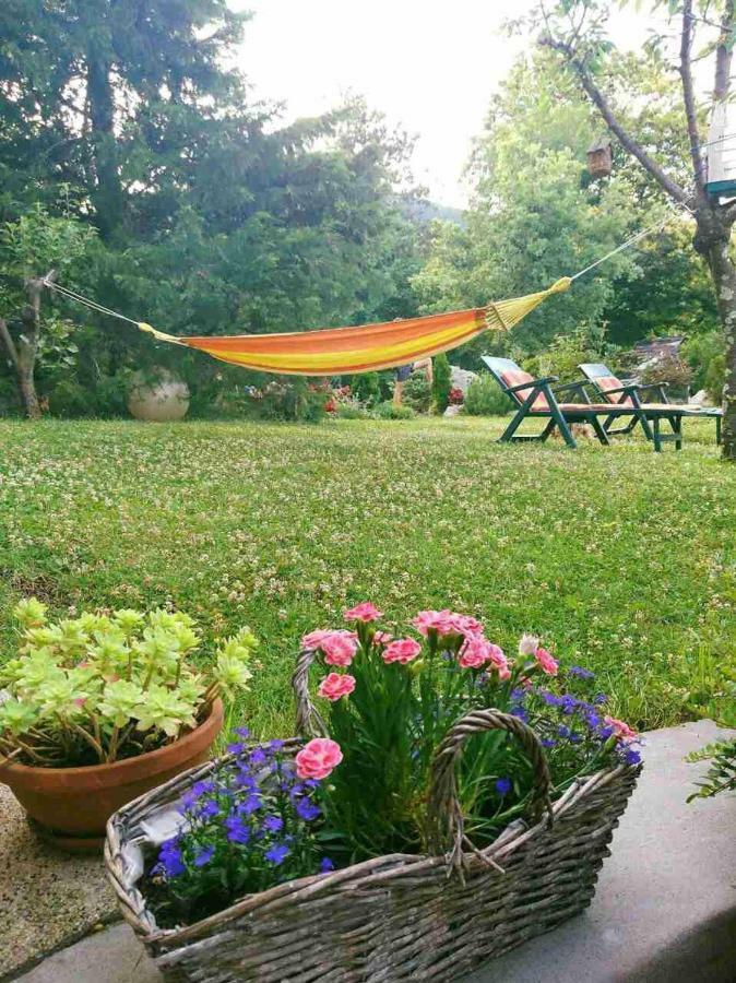 Ruza 2 Apartment Opric